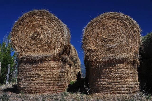 hay bales